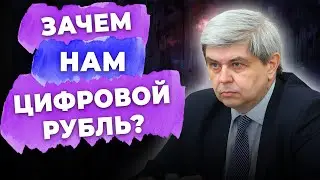 Цифровой рубль- прогресс или путь к рабству? Лежава Александр на круглом столе депутата Енгалычевой