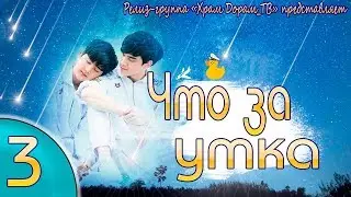 Что за утка 03/20 (озвучка Храм Дорам)