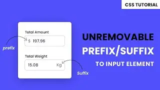 Unremovale Prefix / Suffix To Input Element | HTML & CSS Tutorial