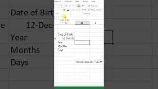 Calculate Age in Years in Microsoft Excel #excel #shorts