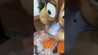 Who needs toys when bubble wrap exists? 