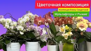 Мультифлоры и Рыжие цветочные композиции от Елены Сандетской. Золото коллекции.