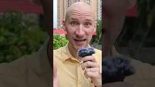 Как научиться фотографировать, ч.1: Вступление 