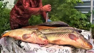 САМАЯ ЛËГКАЯ И БЫСТРАЯ РАЗДЕЛКА РЫБЫ НА БАЛЫК, ПЕЛЬМЕНИ, ХЕ, УХУ, ЖАРЁХУ, МАЛОСОЛ, СУГУДАЙ, ШАШЛЫК