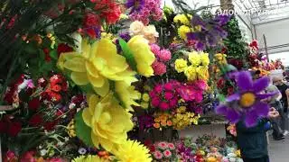 САДОВОД 🌺ИСКУССТВЕННЫЕ ЦВЕТЫ 💐ГДЕ НАХОДЯТСЯ ПАВИЛЬОНЫ С ЦВЕТАМИ 🌻САДВОД РУЛИТ🌼🚗
