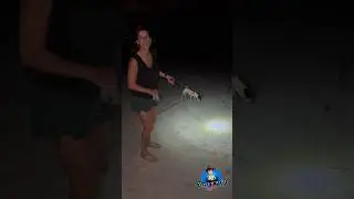 Stella playing with a 🦀 on the beach. 