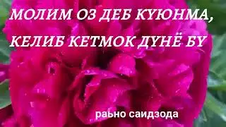 8 августа 2024 г.