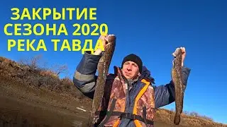 ЭКСТРЕМАЛЬНАЯ РЫБАЛКА/ЗАКРЫТИЕ СЕЗОНА НА РЕКЕ ТАВДА/РЫБАЛКА НА СПИННИНГ И ЗАКИДУШКИ/НАЛИМ, ЩУКА.