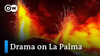 La Palma volcano: Life in Cumbre Vieja’s destructive path | Focus on Europe