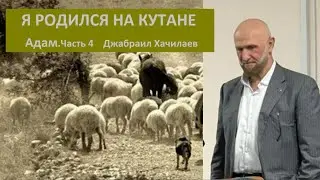 Я родился на кутане_Адам_Часть 4 № 5538