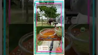 Ниим и Куркума за пълноценно здраве  #садхгуру #short
