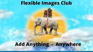Flexible Images Club Review