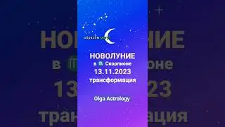 Не упустите свой шанс! НОВОЛУНИЕ в Скорпионе #olgaastrology #гороскоп #новолуние