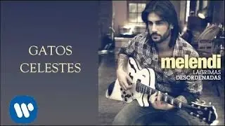 Melendi- Gatos celestes (audio)