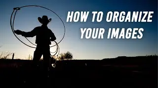 How To Organize Your Images