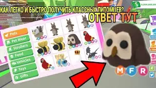 Как получить много петов в Адопт ми?Как получить Легу в Адопт ми?| Roblox Adopt me/ 2022