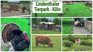 Lindenthaler Tierpark Köln