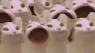 Cat mouth noise, pop cat BUT i keep adding cats that open their mouths an make a noise