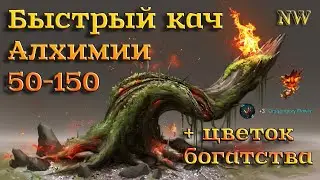 New World. Как быстро прокачать алхимию?! Топовый маршрут для Earth mote. Dragonglory Flover - гайд.