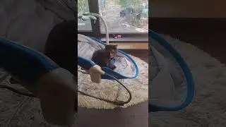 Ты маленький ребёночек!?😂