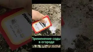 Применение соды в саду  