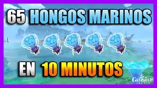 DONDE ENCONTRAR HONGO MARINO en INAZUMA - UBICACIÓN - RUTA FARMEO - LOCALIZACIÓN | GENSHIN IMPACT
