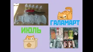 213. ГАЛАМАРТ: обзор закупки I Самара I июль 2020