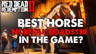 RDR2 Online BEST and FASTEST HORSE In The GAME Norfolk Roadster!!!