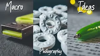 Macro Photography with Everyday Objects