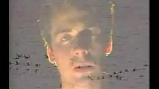 The Chills - Pink Frost
