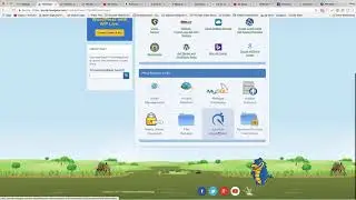 Can't Access HostGator cPanel