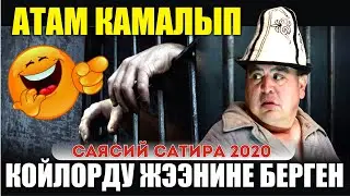 ХИТ 2020// ТЫНАР 120 КОЙ// ЖАҢЫ ВЕРСИЯ// АЗЫРКЫ КОЙЛОР ЖЭЭНИНЕ БАШ БЕРБЕЙ АТАТ