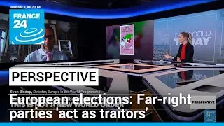 European elections: Far-right parties act as traitors amid foreign interference • FRANCE 24