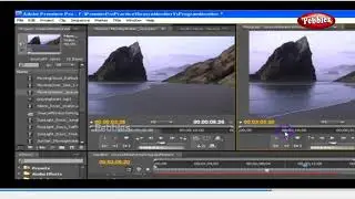 Elements of  Premier Pro CS4 || Source Panel || Learning Premiere Pro CS4