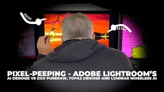 Pixel-Peeping - Adobe Lightroom's AI DeNoise Vs DxO PureRAW, Topaz DeNoise and Luminar Noiseless AI