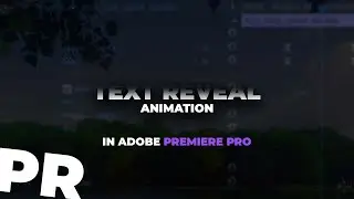 How To Create A Fading Text Reveal In Adobe Premiere Pro (30 Second Tutorial)