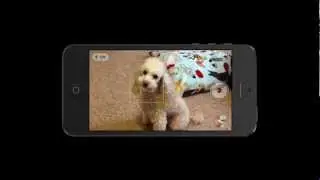 How to Take a Photo While Shooting Video on the iPhone 5