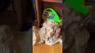 Покинутый дом в 