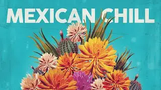 Mexican Chill 🌵 Cool Music 🌵