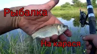 Рыбалка на поплавок в ИЮНЕ! Ловля карася в запрещенном месте!