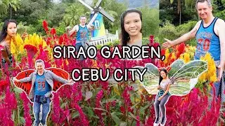 SIRAO GARDEN CEBU CITY|SIRAO FLOWER FARM-LITTLE AMSTERDAM CEBU|FOREIGNER WITH FILIPINA|AGE GAP LOVE