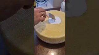 ПОКРАСИЛИ  НАШ 🧀 СЫР. ЛАТЕКСНОЕ ПОКРЫТИЕ