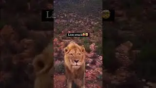 Aggressive Lion Face Men 👹 
