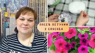 ПОСЕВ ПЕТУНИИ НА РАССАДУ / Как посеять ПЕТУНИЮ на снег / Эффективный СПОСОБ ПОСЕВА ПЕТУНИИ из семян