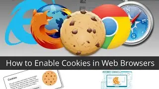 How to Enable Cookies in Your Browser