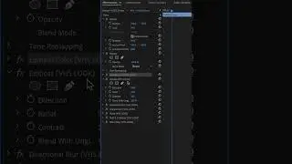 How to get VHS look in Premiere Pro