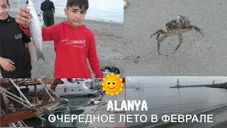 ТУРЦИЯ АЛАНЬЯ 10 ФЕВРАЛЯ 2024 WELCOME В ЛЕТО БОЛЬШАЯ ПРОГУЛКА С РОМКОЙ РОКЕРОМ