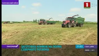 Заготовка кормов в северных регионах Беларуси. Панорама