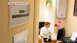 Внимание! Клещи проснулись!