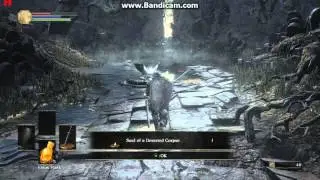 Dark Souls 3 GTS 450 768p gameplay